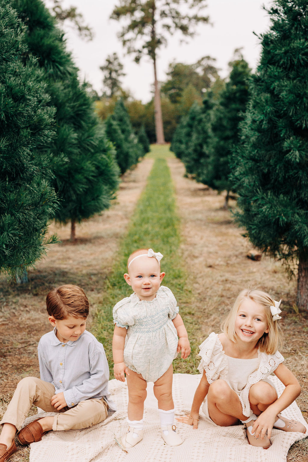 A young baby girl stands between her sitting older brother and sister in houston christmas tree farms