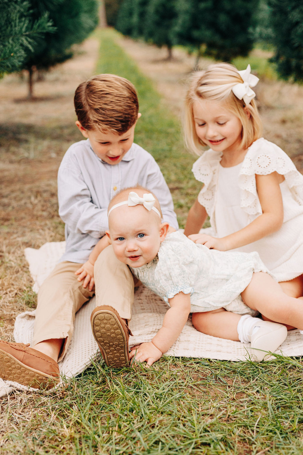 Two young siblings sit on a picnic blanket in houston christmas tree farms playing with their infant little sister